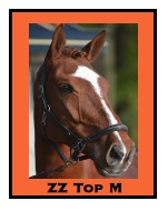 Turbo Magic x Sambertino (In training voor de PSG) Verkocht, Taiwan